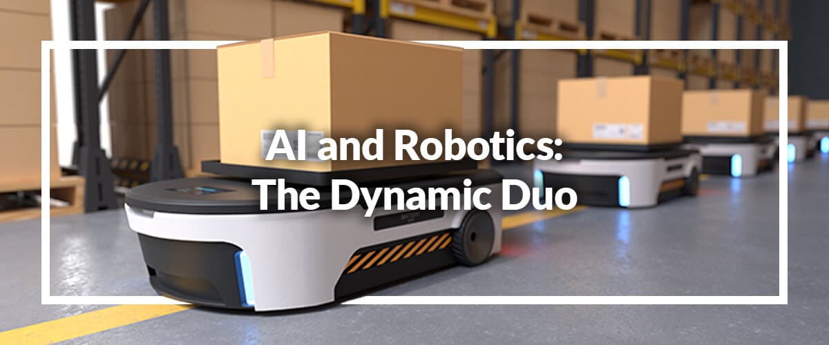 robotics-and-ai-for-high-efficiency-fulfillment
